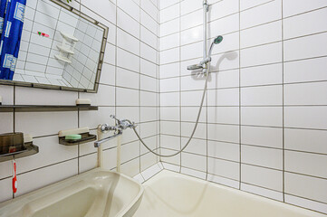 interior apartment room bathroom, sink, decorative elements, toilet. WC, sanitary unit, wash room