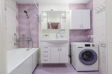 interior apartment room bathroom, sink, decorative elements, toilet. WC, sanitary unit, wash room