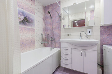interior apartment room bathroom, sink, decorative elements, toilet. WC, sanitary unit, wash room