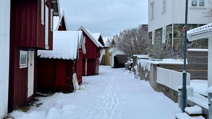 street in winter