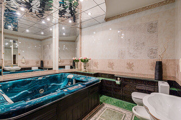 interior apartment room bathroom, sink, decorative elements, toilet. WC, sanitary unit, wash room