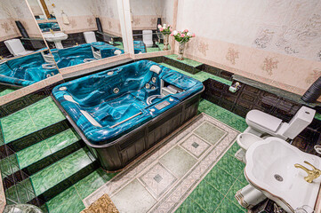 interior apartment room bathroom, sink, decorative elements, toilet. WC, sanitary unit, wash room
