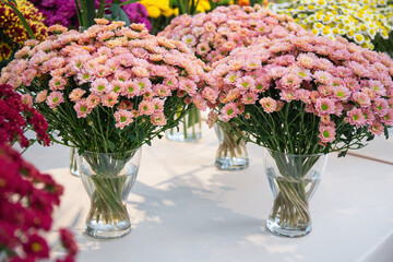 Elegant Coral Chrysanthemum Bouquets in Vases