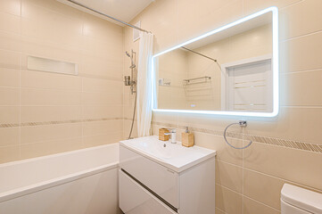 interior apartment room bathroom, sink, decorative elements, toilet. WC, sanitary unit, wash room