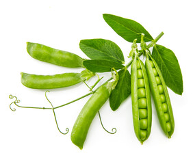 Green peas with twig leaf and pods. Vegetable still life, isolated on white background.