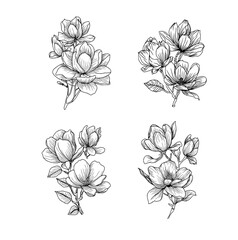 Vintage flower drawings