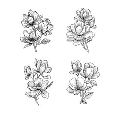 Peony flower and leaves drawing. Vector hand drawn engraved floral card. Botanical rose, branch and berry Black ink sketch. Great for tattoo, invitations, greeting cards, decor 
