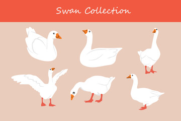 Swans set. Vector illustration of a flock of white swans.