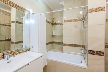 interior apartment room bathroom, sink, decorative elements, toilet. WC, sanitary unit, wash room