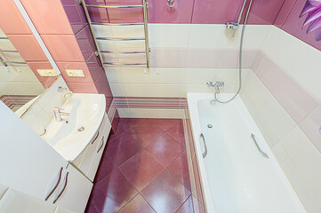 interior apartment room bathroom, sink, decorative elements, toilet. WC, sanitary unit, wash room