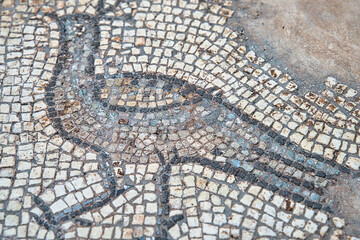 孔雀のモザイク