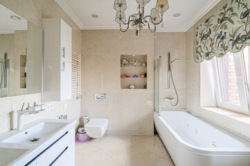 interior apartment room bathroom, sink, decorative elements, toilet. WC, sanitary unit, wash room