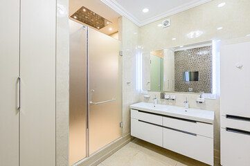 interior apartment room bathroom, sink, decorative elements, toilet. WC, sanitary unit, wash room