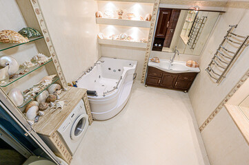 interior apartment room bathroom, sink, decorative elements, toilet. WC, sanitary unit, wash room