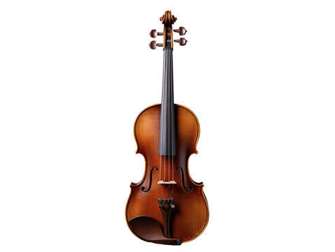 a close up of a violin