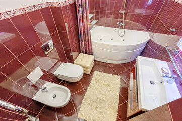 interior apartment room bathroom, sink, decorative elements, toilet. WC, sanitary unit, wash room