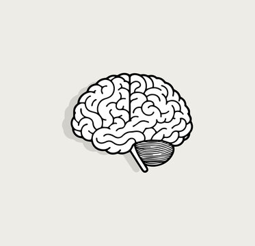 Brain sketch, thought intellect symbol. Mental health awareness, cognitive functions, intelligence assessments icon for educational and psychology. Hand-drawn style vector illustration.