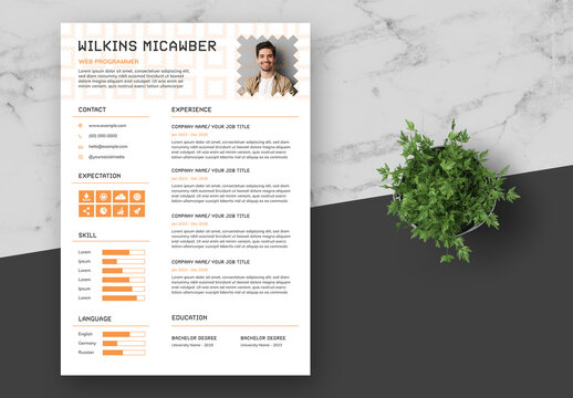 Orange Programmer Resume Pixels