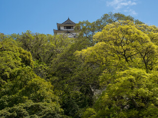 Main tower of Marugame castle peeking through lush greenery in springtime - Kagawa prefecture, Japan
