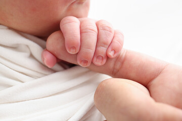 Close-up of baby's small hand, head, ear and palm of mother. Macro Photo of Newborn baby after birth tightly holding parents finger on white background. Family and home concept. Healthcare paediatrics