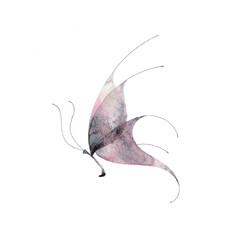 Watercolor butterfly isolated on white. Abstract ethereal hand drawn illustration blue purple insect