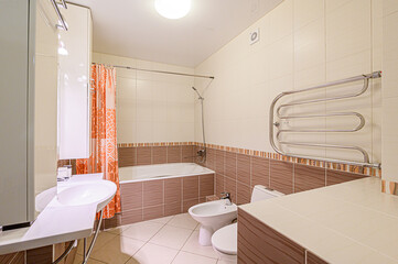 interior apartment room bathroom, sink, decorative elements, toilet. WC, sanitary unit, wash room