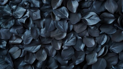 Flat-lay of dense black leaves creating a dark, textured backdrop with shades of black.