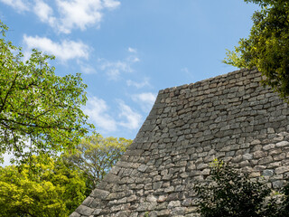 Fototapeta na wymiar Lush springtime greenery at the walls of Marugame castle - Kagawa prefecture, Japan