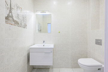 interior apartment room bathroom, sink, decorative elements, toilet. WC, sanitary unit, wash room