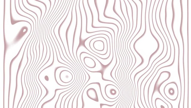Abstract white and light gray wave modern soft with smooth animation.  White liquid background 4k video.