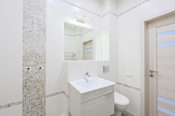 interior apartment room bathroom, sink, decorative elements, toilet. WC, sanitary unit, wash room
