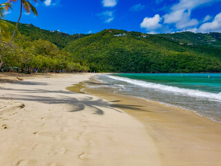 Serene tropical beach oasis with palm trees adorning the sandy shore. Saint Thomas