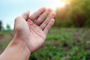 Man's hand touches warm sunlight through fingertips. Hand ready. Freedom in nature, and spirituality concept.