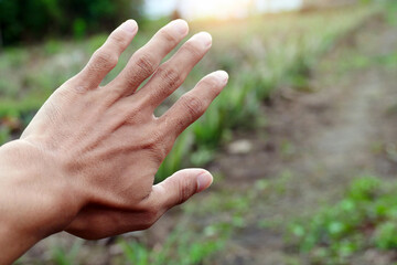 Man's hand touches warm sunlight through fingertips. Hand ready. Freedom in nature, and...