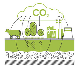 CO2 cycle - visual aid for scientific reports