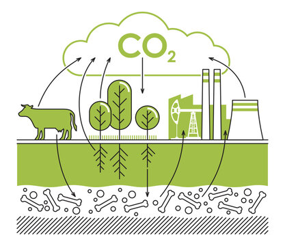 CO2 cycle - visual aid for scientific reports