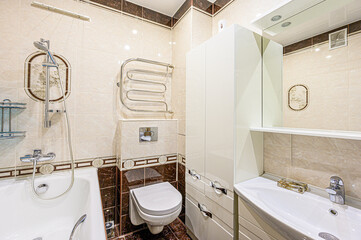 interior apartment room bathroom, sink, decorative elements, toilet. WC, sanitary unit, wash room