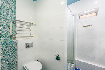 interior apartment room bathroom, sink, decorative elements, toilet. WC, sanitary unit, wash room