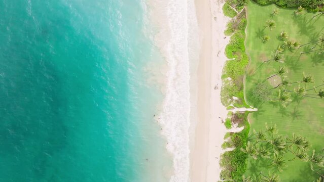Aerial view tropical Oahu landscape for copy background. Drone shot Hawaii beach with white sand, teal water. Top view of beautiful sand beach with azure ocean waters. Wave propagation on Kailua beach