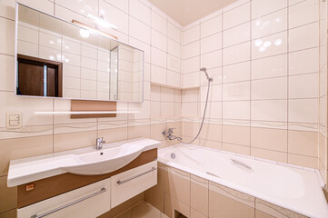 interior apartment room bathroom, sink, decorative elements, toilet. WC, sanitary unit, wash room