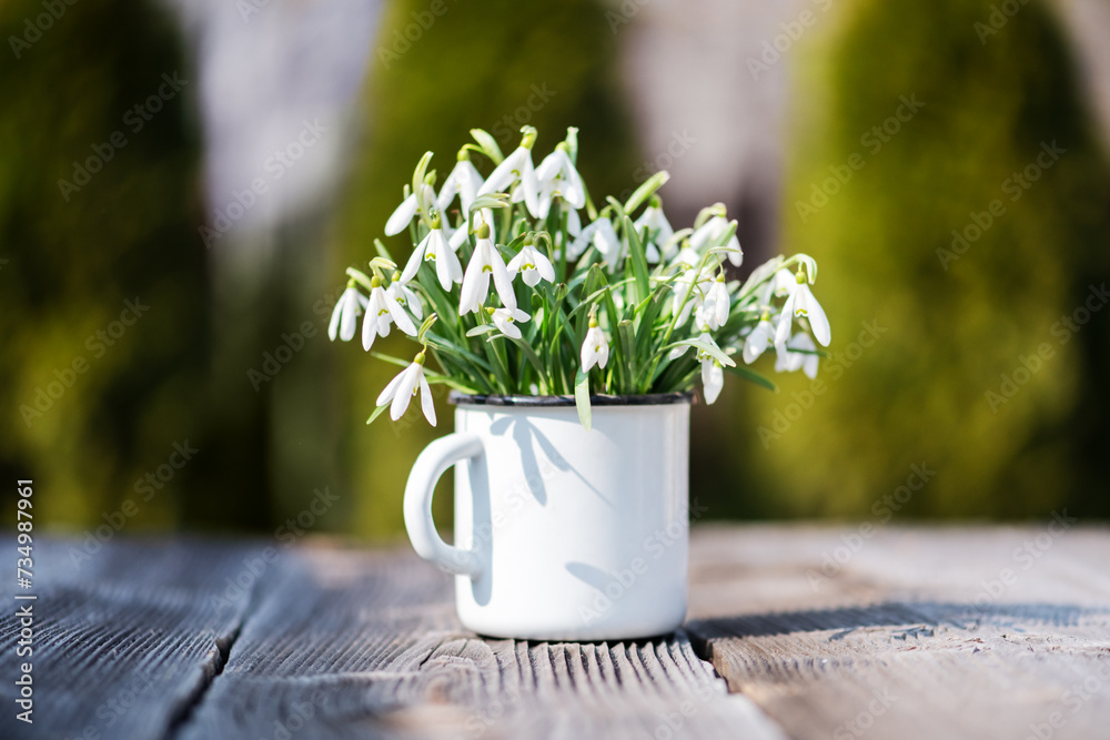 Wall mural Bouquet of snowdrops in an iron mug on spring meadow forest closeup. Macro nature photography