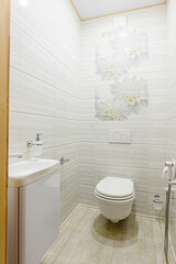 interior apartment room bathroom, sink, decorative elements, toilet. WC, sanitary unit, wash room
