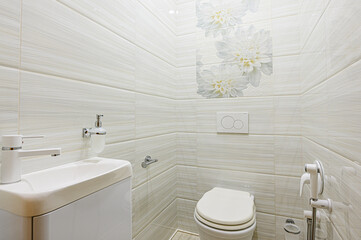 interior apartment room bathroom, sink, decorative elements, toilet. WC, sanitary unit, wash room