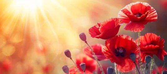 Foto op Plexiglas Vivid poppy field abstract background on a sunny summer day with lush plantations © Ilja