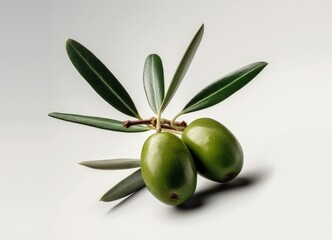 olive with leaf isolated on white background macro shot