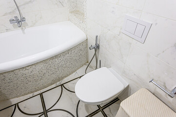 interior apartment room bathroom, sink, decorative elements, toilet. WC, sanitary unit, wash room