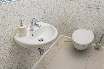 interior apartment room bathroom, sink, decorative elements, toilet. WC, sanitary unit, wash room