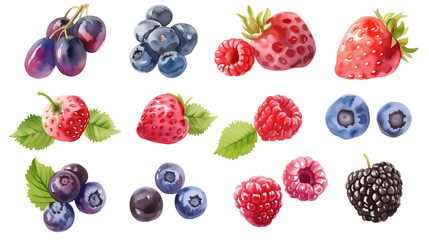Set of different watercolor berries on a transparent background. Clipart PNG.