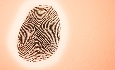 Orange Background Evidence Fingerprint