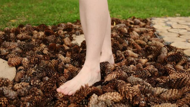 Woman walks barefoot along a massage tactile eco-path made of pine cones in the park, foot massage, prevention of flat feet. Relieving stress, depression, reflexology. Hallux valgus, prevention
